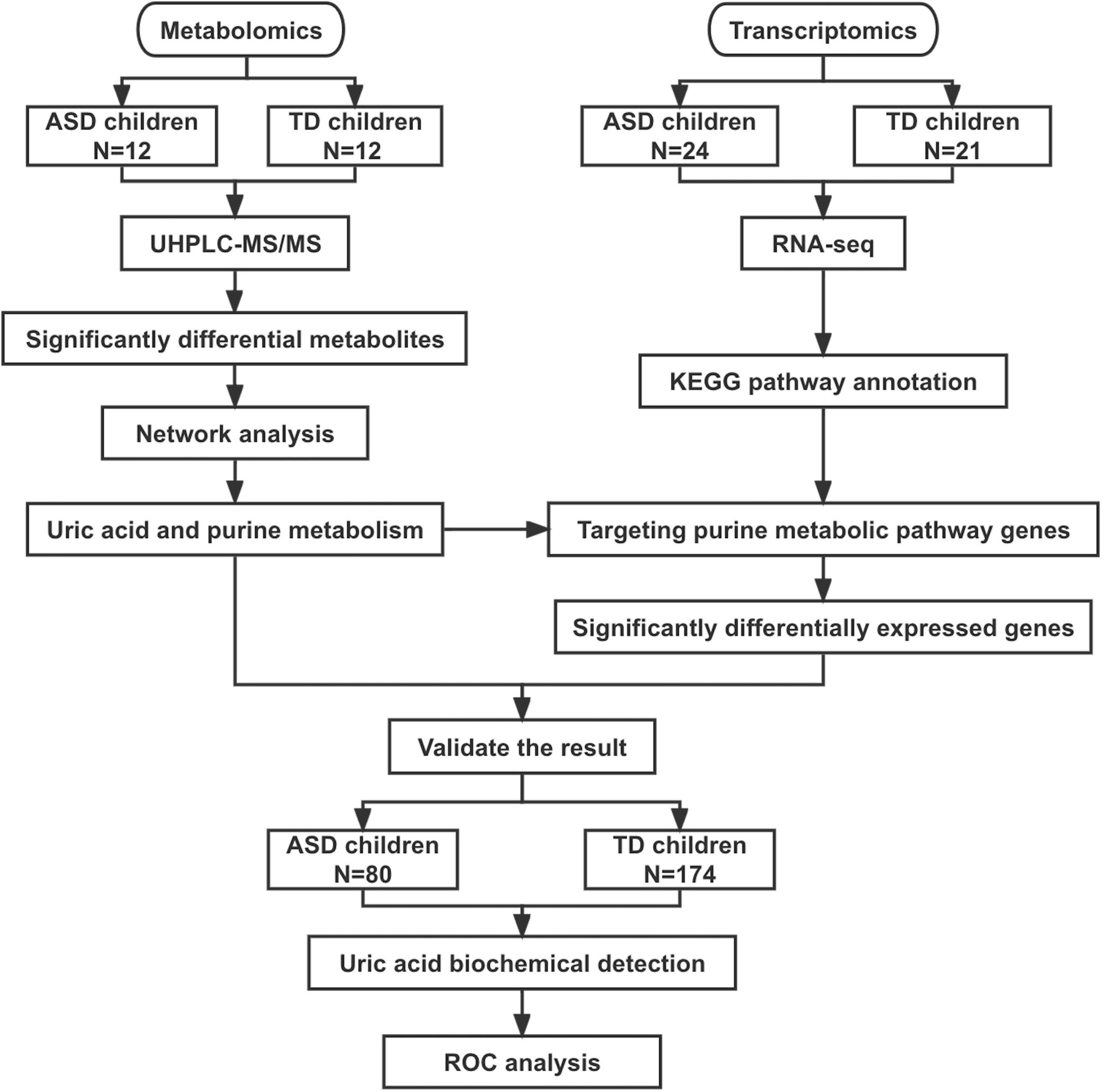 Purine signaling pathway dysfunction in autism spectrum disorders: Evidence from multiple omics data